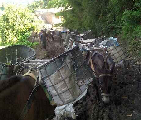 浈江区马帮搬运