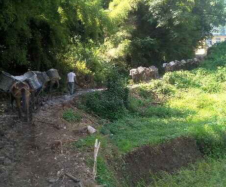 浈江区马帮运输队