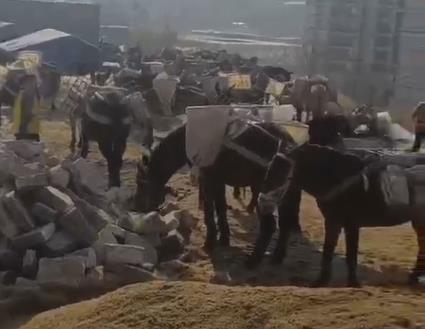 浈江区马队山路运输