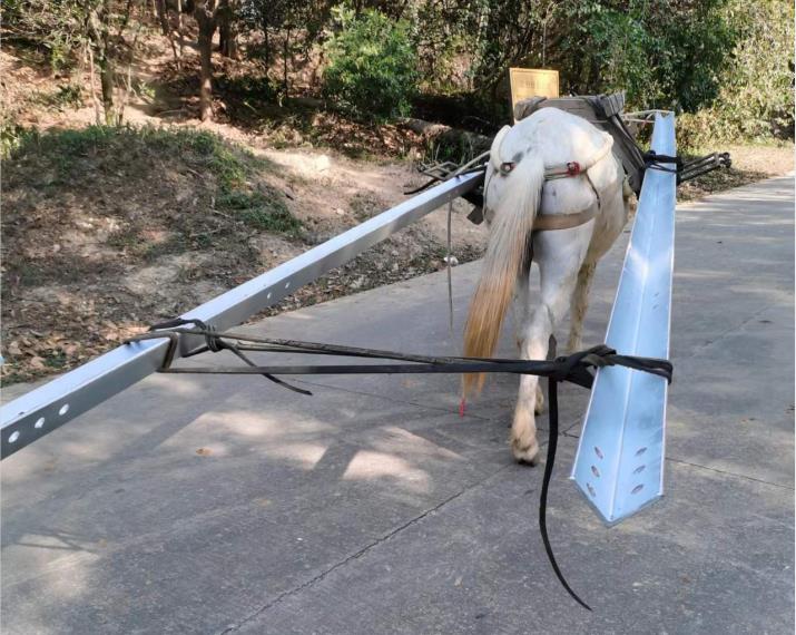 浈江区马队搬运