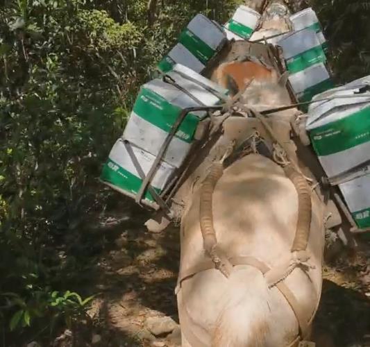 浈江区骡马山路运输