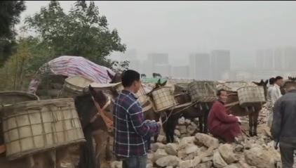 浈江区骡马山区运输