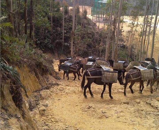 浈江区马帮山路运输