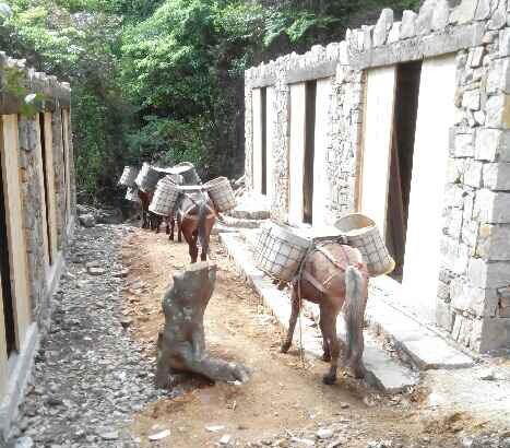 浈江区马队运输队