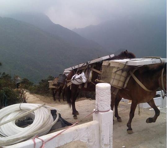 浈江区山区马帮运输