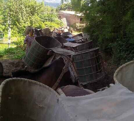 浈江区骡马运输